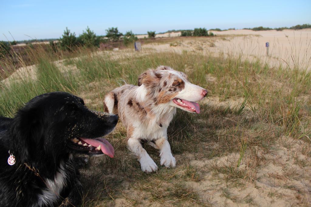 Natuurpoort Van Loon Loon op Zand 외부 사진