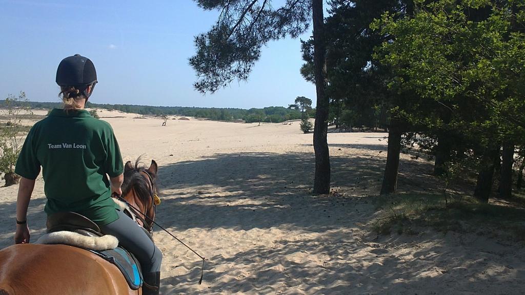 Natuurpoort Van Loon Loon op Zand 외부 사진